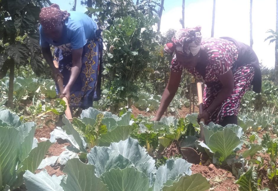 Working in permaculture garden